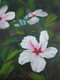 "White Hibiscus" by Douglas Rae