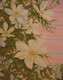 "Clematis" by Douglas Rae