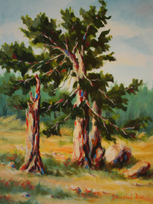 "Aged Sentinel" by Douglas Rae