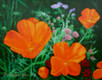 "Sunkist Poppies" by Douglas Rae